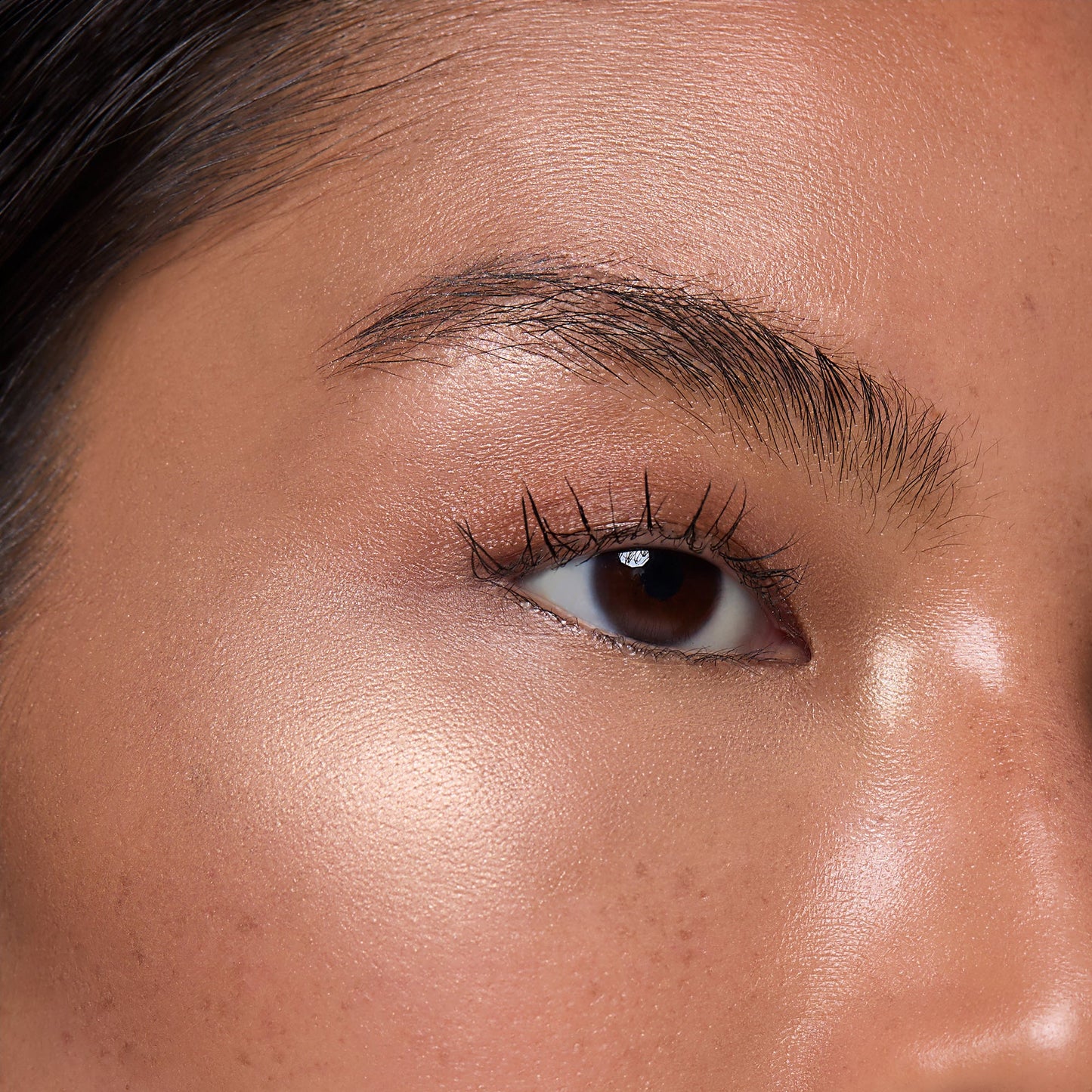 Highlighter
