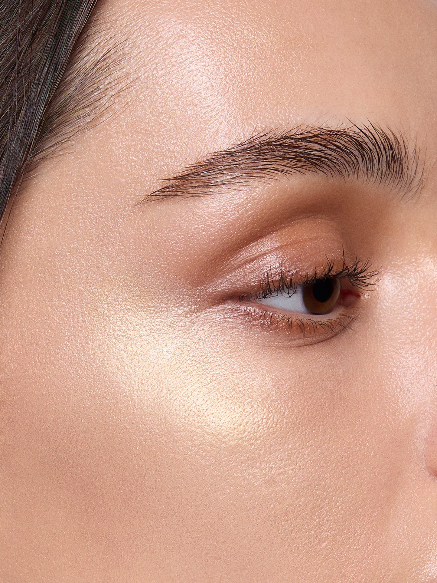Highlighter