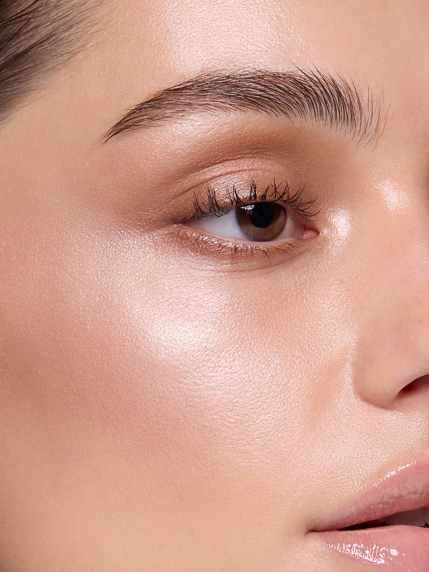 Highlighter