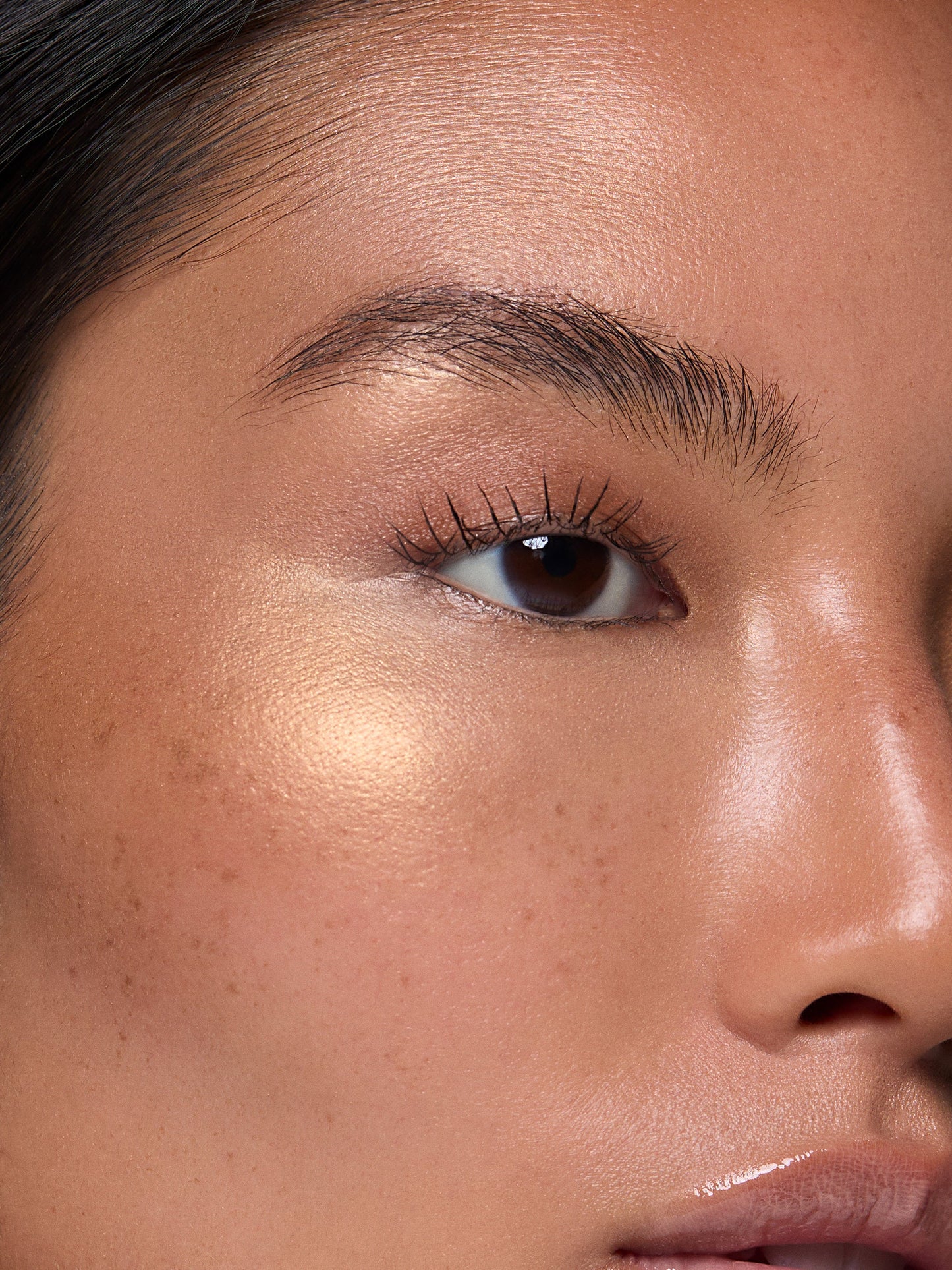 Highlighter