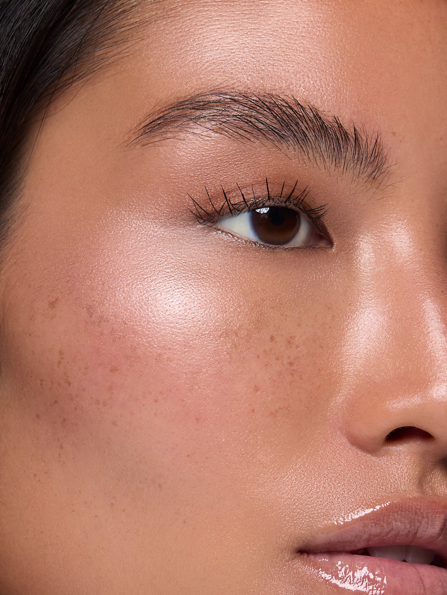 Highlighter