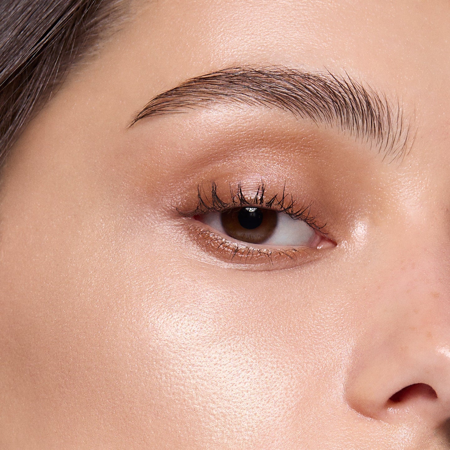 Highlighter